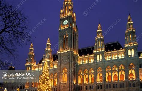 townhall and christmas tree, vienna, austria. - SuperStock