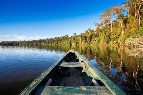 Amazonas-Regenwald um Manaus, Brasilien | Franks Travelbox