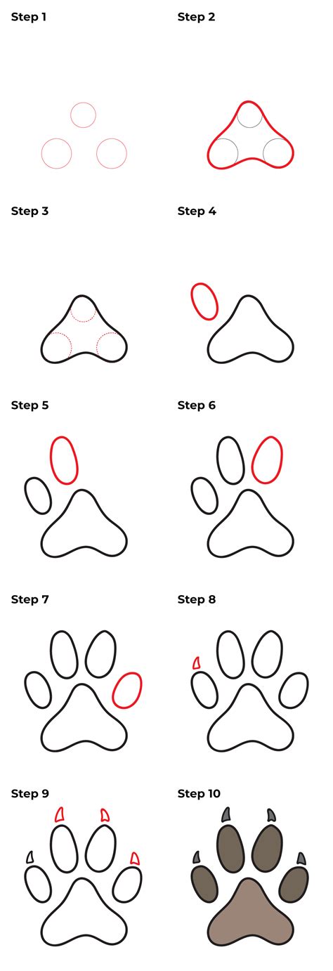 How to Draw a Cat Paw Print