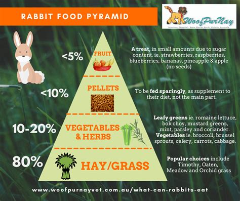 What can rabbits eat — Woofpurnay Veterinary Hospital | Professional ...