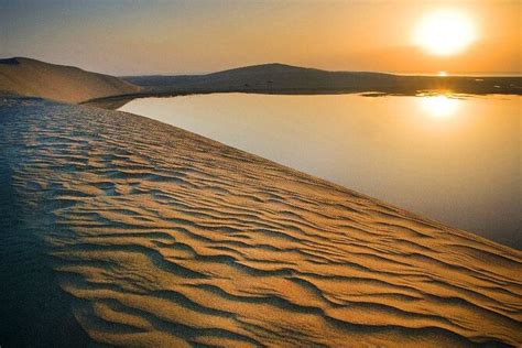 Qatar Desert Safari, Dune Bashing (Private Safari Tour)