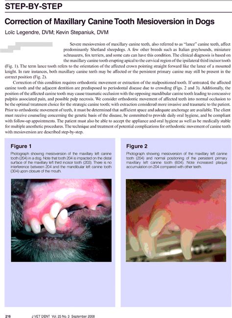 Correction of Maxillary Canine Tooth Mesioversion in Dogs - Loïc ...