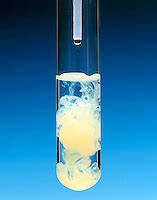 science chemistry precipitation reaction silver iodide | Fundamental Photographs - The Art of ...