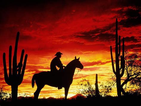 Cowboy Horse Wallpapers - Top Free Cowboy Horse Backgrounds ...