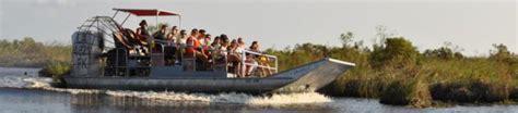 Take a Fun Alligator Tour in Louisiana | Airboat Adventures | Alligators in Louisiana