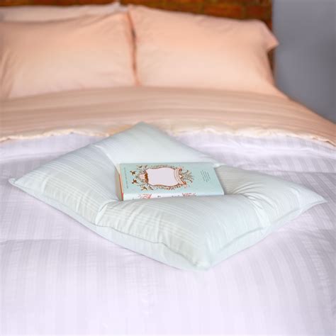 DOWNLITE Extra Soft Down Pillow - Great for Stomach Sleepers Pillow ...