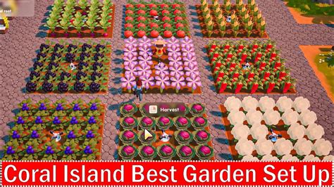 Coral Island: Best Garden Set Up - YouTube