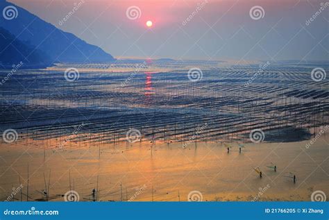 Fujian Xiapu Beach Sunrise,China Stock Image - Image of seaside, china: 21766205