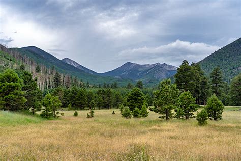 Flagstaff Weather - Current & Seasonal Temperatures