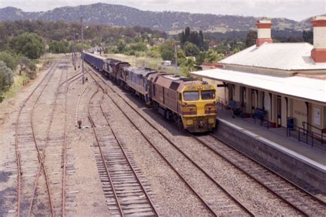 Murrurundi Station