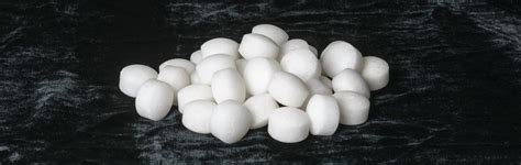 Are Mothballs Toxic? – Dr. Killigan's