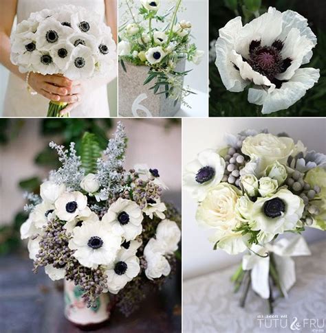 Tutu & Fru Loves: The Black & White Poppy | White poppy, White bouquet, Poppy bouquet