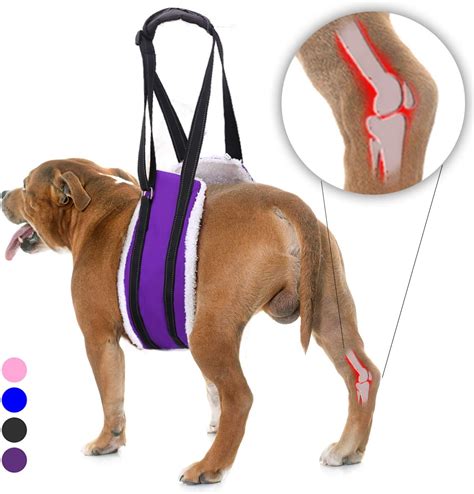 Amazon.com : Bolux Portable Dog Sling Rear Legs - Dog Lift Harness for Back Legs, Adjustable Hip ...