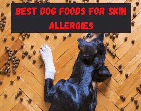 Dog Skin Allergies And Best Dog Foods For Allergies | Dog Vet Tips