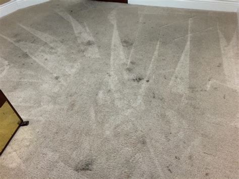 Carpet Cleaning Before and After Results in Merced CA (A+ Chem-Dry)