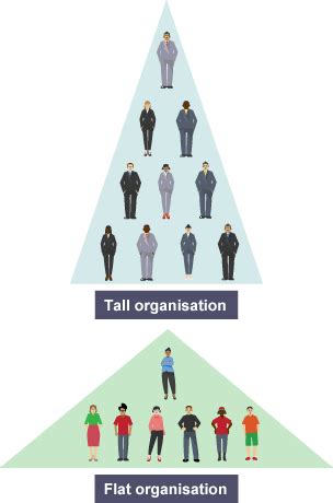 Tall and flat organisations - Structures - Higher Business management ...