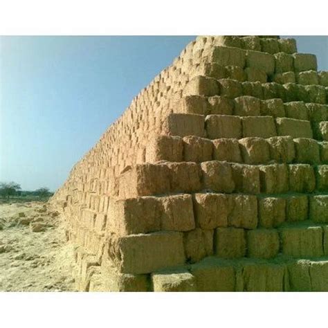 Organic Sugarcane Mulch Bales Bagasse at Rs 3000/ton | Sugarcane Mulch Bales in Surat | ID ...