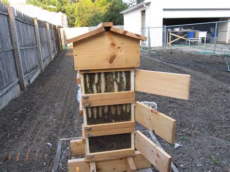 Guide to bee hive types - Learn the essential differences - Bees4life