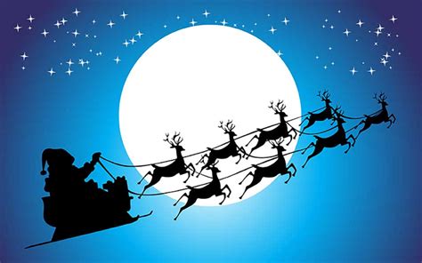 Santa's Reindeer are Male - Spoiler Alert - Reindeer are female!