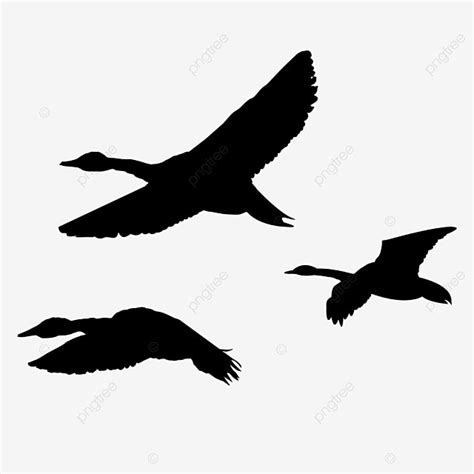 Gooses Flying Silhouette PNG Transparent, Black Silhouette Wild Goose ...