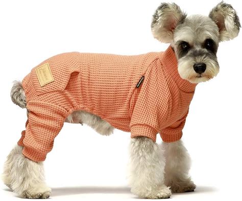 Amazon.com: extra extra small dog clothes