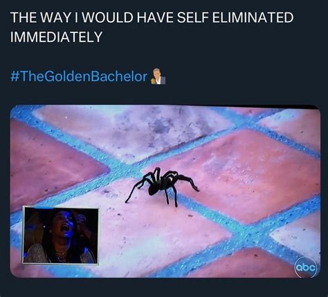 Twitter roundup for the latest episode of The Golden Bachelor : r/thebachelor