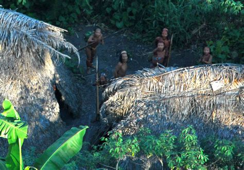 Even uncontacted tribes in Brazil may face coronavirus risk | Ars Technica