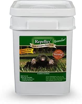 7 Best Vole Poisons, Repellents & Traps – Effective Killers