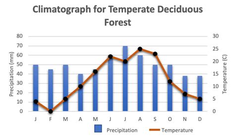 Precipitation in Deciduous Forests Is Best Described as