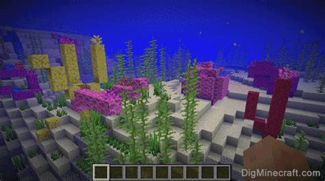 Minecraft Coral Texture