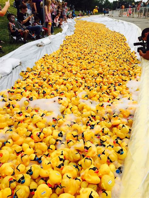 FAQ’s about GAME’s Rubber Duck Race Fundraiser – Derby Duck Fundraiser