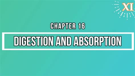 Notes on Digestion & Absorption | Class 11 - YouTube