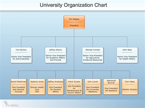 Organizational Structure