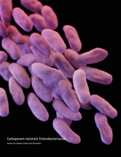 What is CRE? 'Nightmare bacteria' have killed again | CNN