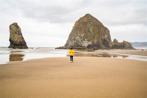 15 IRRESISTIBLE Oregon Coast Beaches to Explore This Summer