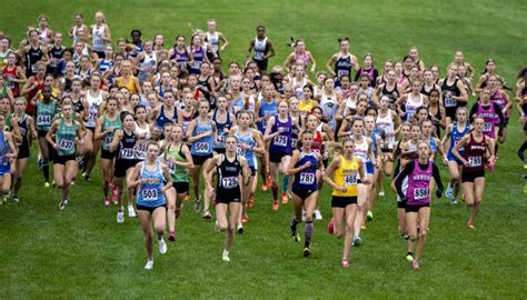 Indiana high school cross-country championship photos