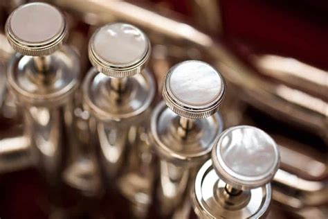 12 Different Types of Tubas (Plus Interesting Facts)