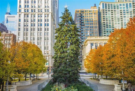 Chicago Christmas Tree - Alchetron, The Free Social Encyclopedia