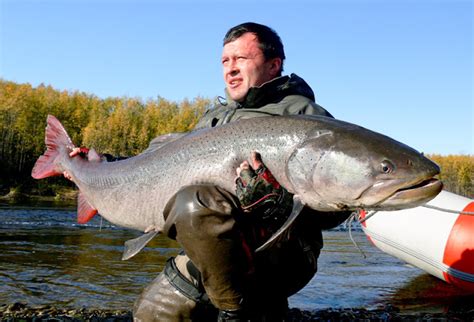 International Fishing News: RUSSIA: taimen and amur pike