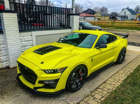 2021 Shelby GT500 Color Options - Mustang Fan Club