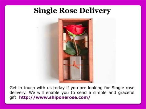 PPT - Single Rose Delivery PowerPoint Presentation, free download - ID:7566548