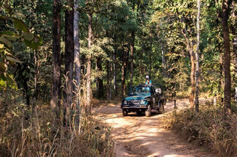 Pench National Park Online/Offline Safari Booking Information & Tips