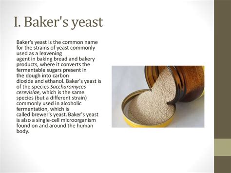 Bread and baker's yeast - online presentation