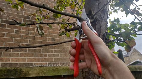 Felco 8 Bypass Pruner review | Top Ten Reviews