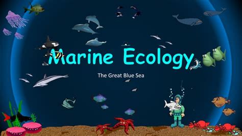 Marine Ecology Zones | PPT