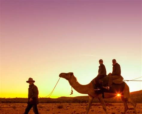 Camel Ride Alice Springs ($89) + FREE shuttle - Alice's Secret Travellers Inn