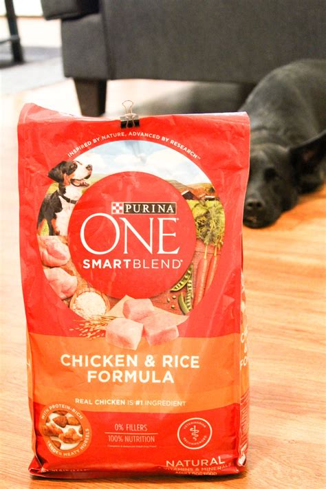 Purina ONE at Target | Lots of Sass