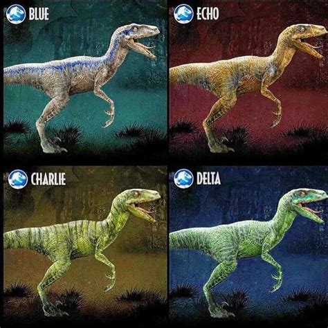 Raptor Squad | Blue jurassic world, Jurassic world, Jurassic world ...