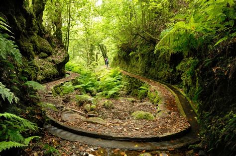 Best 5 Levada Walks in Madeira Island