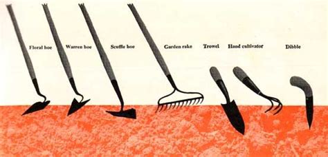 Know your tools :D | Garden hand tools, Garden tools, Planting tools